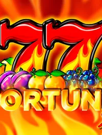Fortune 27